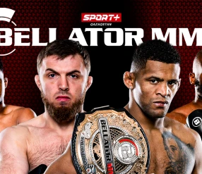 ММА. BELLATOR SERIES 2
