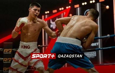 Профессиональный бокс. RD promotion