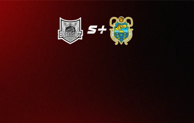 БАСКЕТБОЛ. АСВ ЛИГАСЫ. 16 ТУР. БИЛЬБАО – ТЕНЕРИФЕ