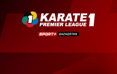 КАРАТЭ. ПРЕМЬЕР-ЛИГА. ФИНАЛ