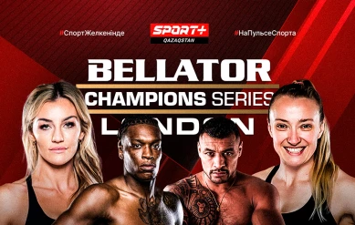 ММА. BELLATOR SERIES 5. ҰЛЫБРИТАНИЯ