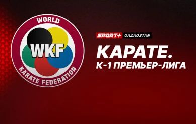 КАРАТЕ. К-1 ПРЕМЬЕР-ЛИГА. ФИНАЛ, 3-ШІ ОРЫН ҮШІН КЕЗДЕСУ