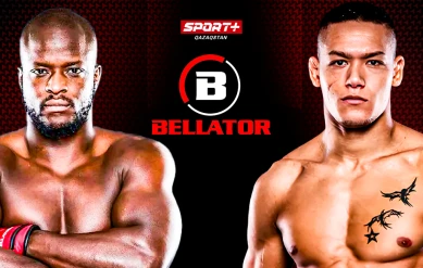 BELLATOR SERIES 2: BABENE vs VAN STEENIS