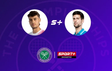 Уимблдон. Флавио Коболли – Новак Джокович