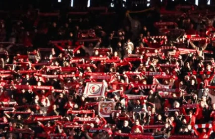 «Орлы» принимают кризисную «Виторию». Где и во сколько смотреть матч «Бенфика» - «Витория Гимарайнш»