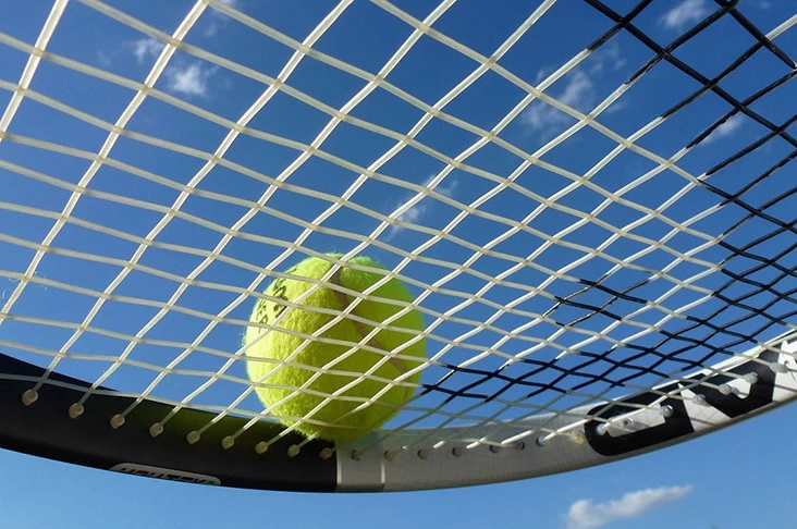 Итальянский теннисист Синнер впервые выиграл Australian Open