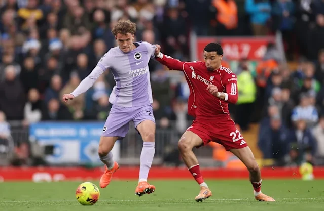 «Энфилд» против нестабильных «чаек». Где смотреть «Ливерпуль» — «Брайтон»