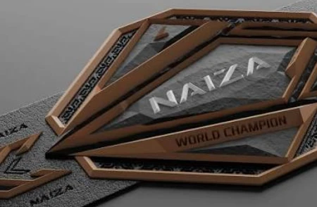 Лига NAIZA объявила открытый набор бойцов