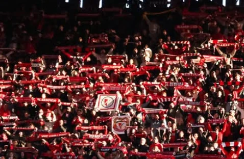 «Орлы» принимают кризисную «Виторию». Где и во сколько смотреть матч «Бенфика» - «Витория Гимарайнш»